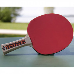 Ping-pong ütő Donic Champs Line 300 Series 2018
