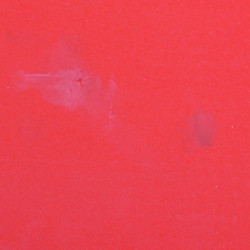 Szépséghibás víziszőnyeg téglalap alakú Amaya piros