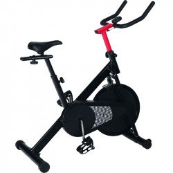 Speed Bike Robust GT5 Fitness Robust