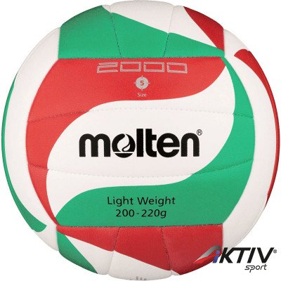 Röplabda Molten V5M2000-L