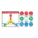 Beszélő labda 2 az 1-ben Ks Kids