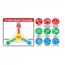 Okos építgető játék Ks Kids