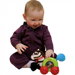 Ryan a guruló zebra Ks Kids