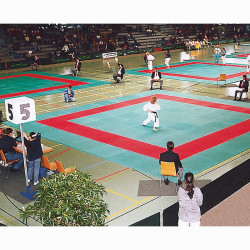 Szépséghibás Judo szőnyeg 200x100x4 cm Banfer csúszásgátló ajjal zöld