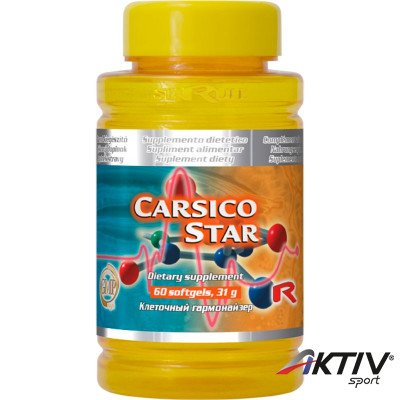 Carsico Star Q10